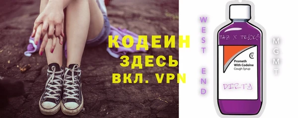 гашик Надым