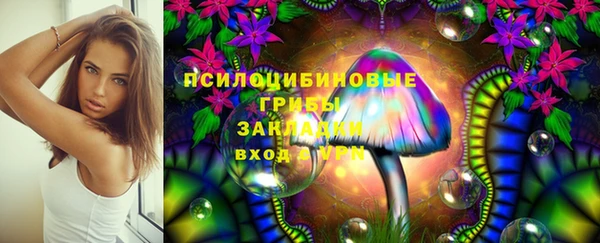 стаф Наволоки