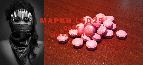 гашик Надым