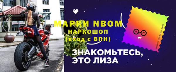 гашик Надым