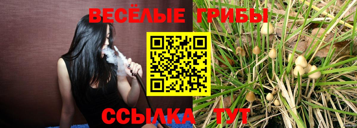Галлюциногенные грибы Psilocybine cubensis  Вход с VPN  Клин 